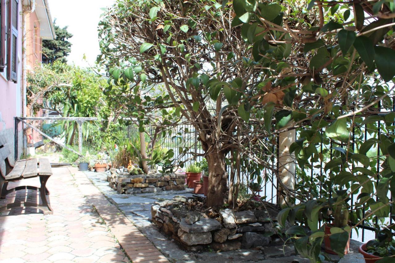 Vila Froggy House San Lorenzo al Mare Exteriér fotografie